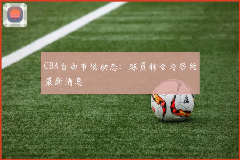 CBA自由市场动态:球员转会与签约最新消息